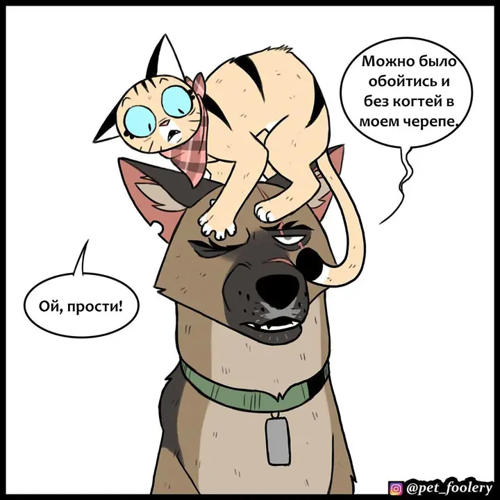Страница 10