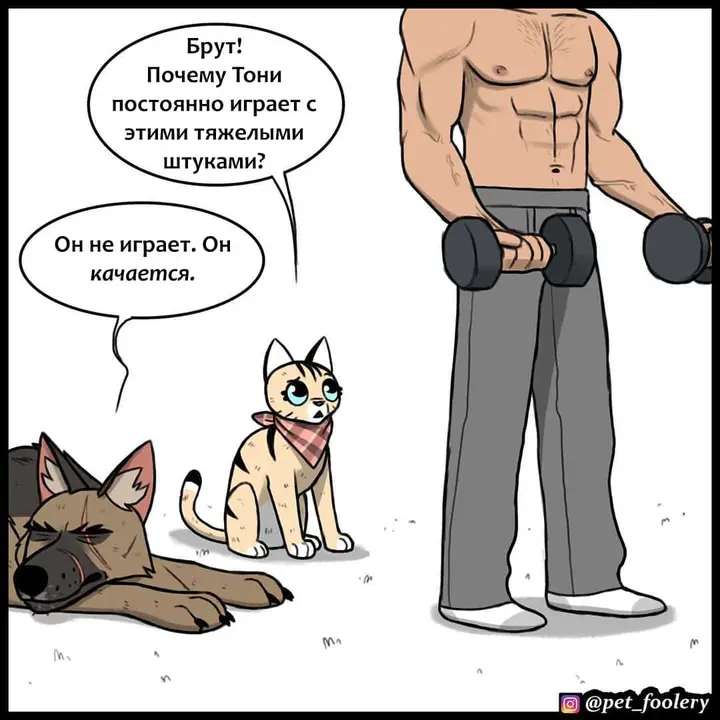 Страница 1