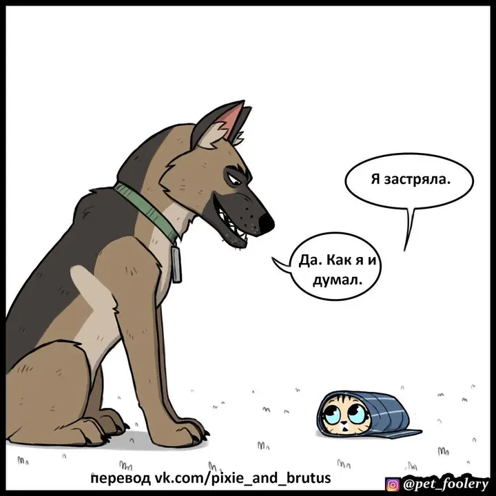 Страница 6