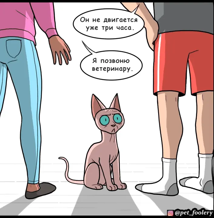 Страница 6