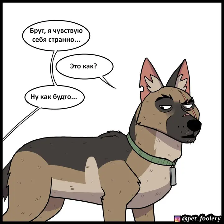 Страница 1