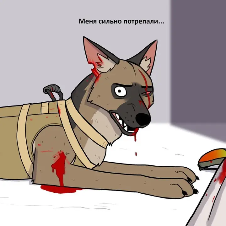 Страница 12