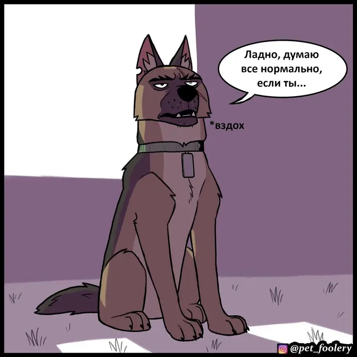 Страница 6
