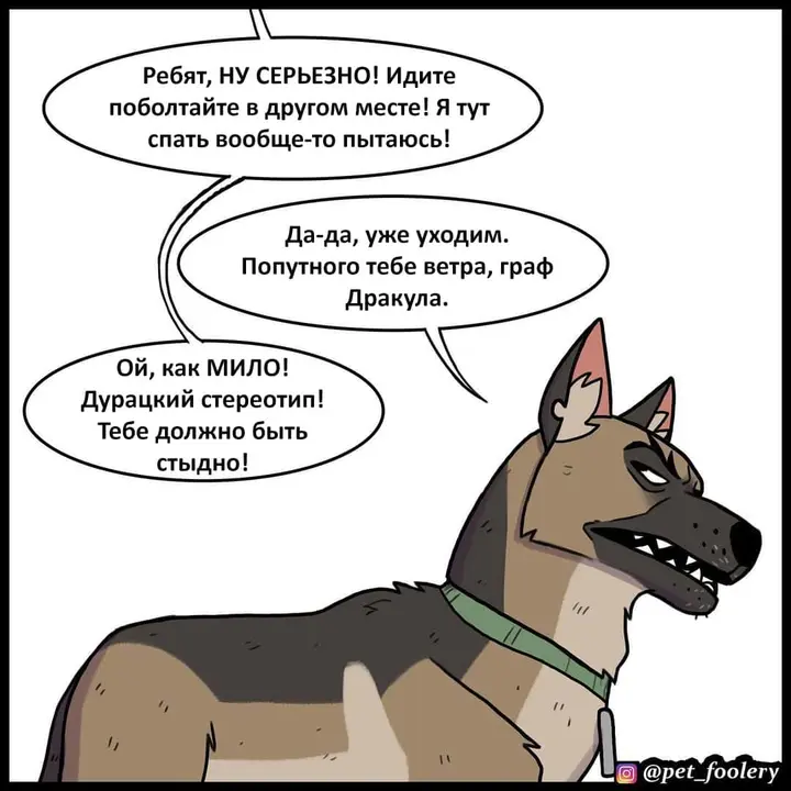 Страница 7