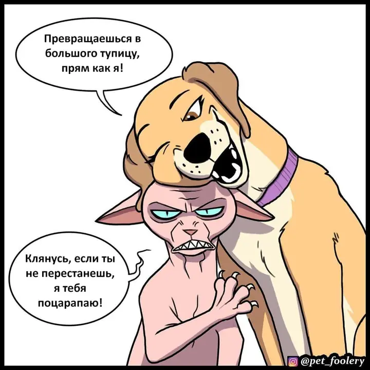 Страница 7