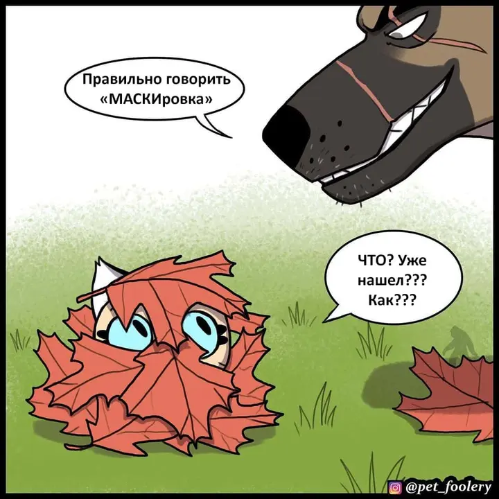 Страница 5