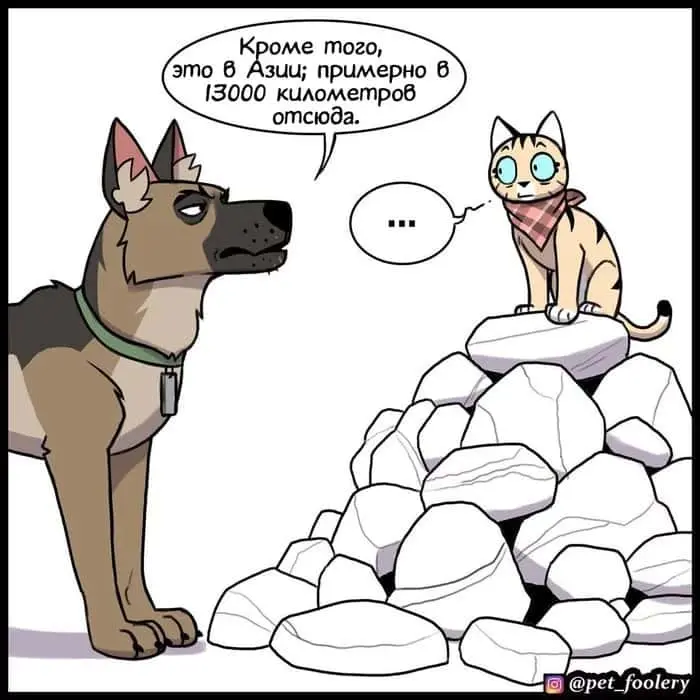 Страница 6