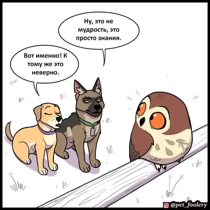 Страница 5