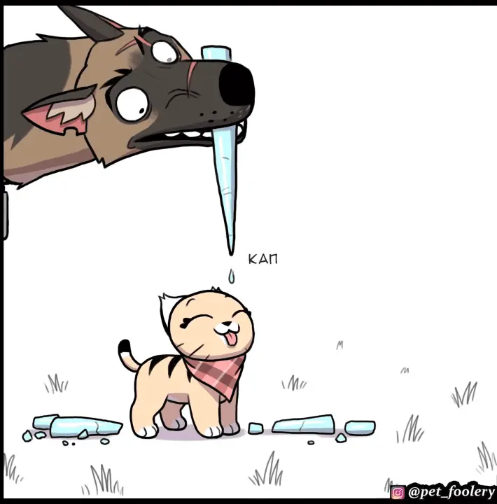 Страница 7