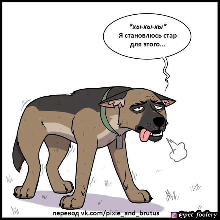 Страница 6
