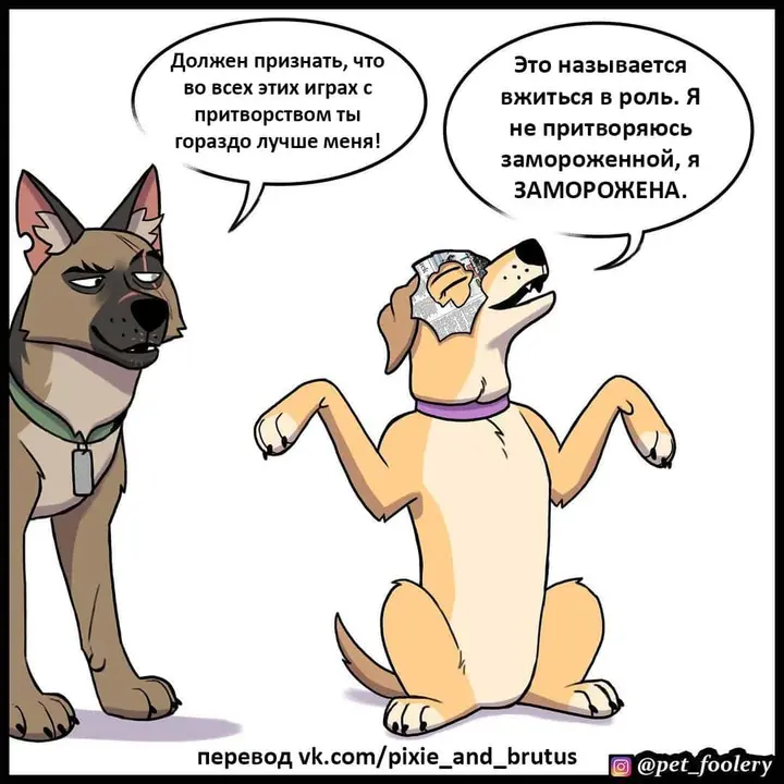Страница 6