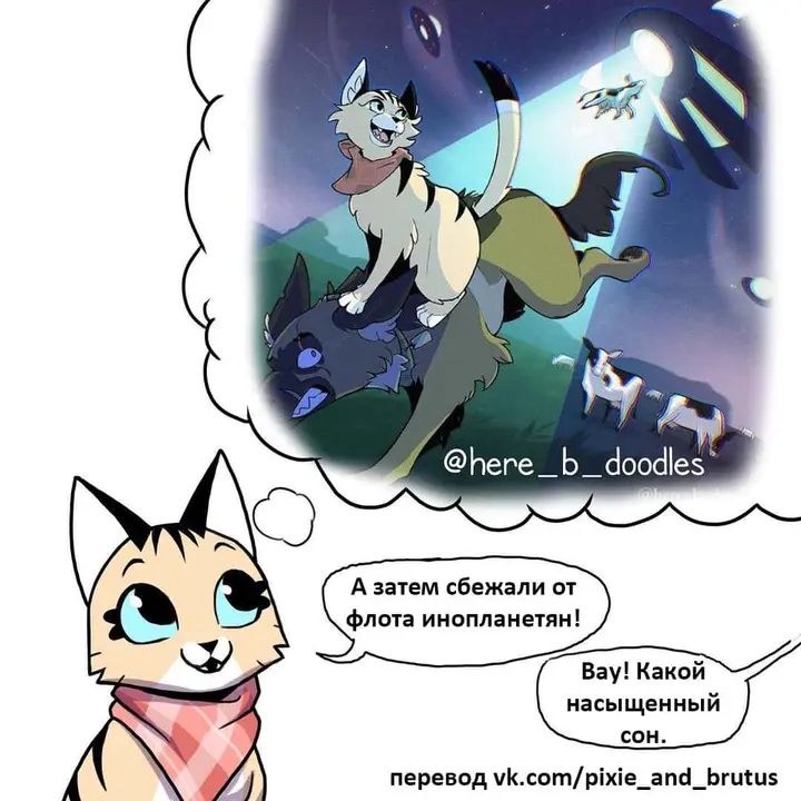 Страница 6