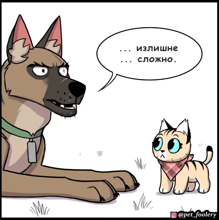 Страница 5