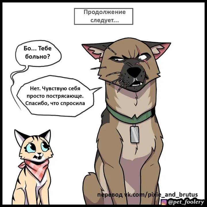 Страница 6