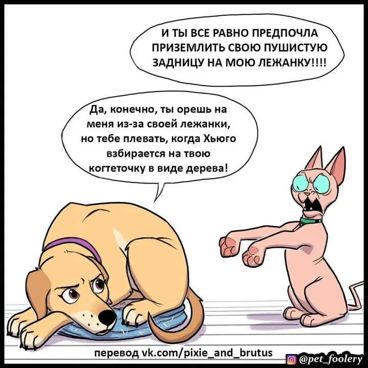 Страница 4