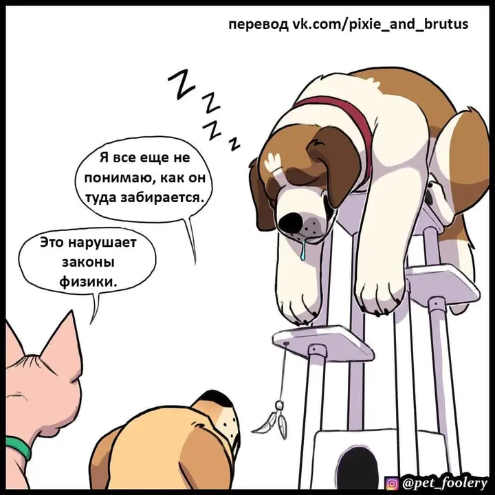 Страница 6