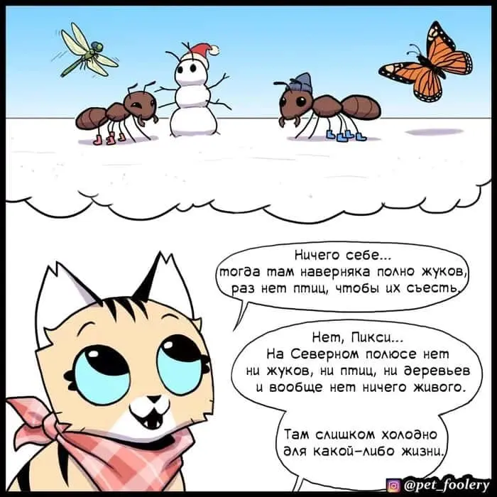 Страница 3