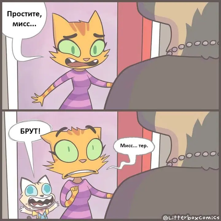 Страница 5