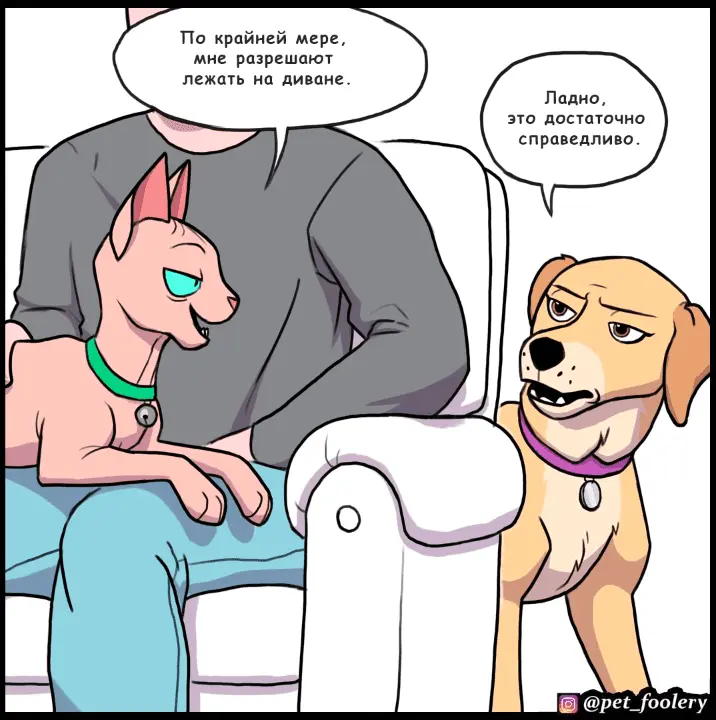 Страница 5