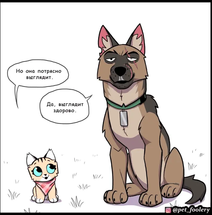 Страница 6