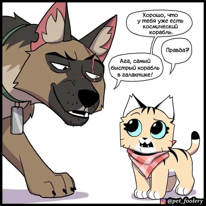 Страница 5