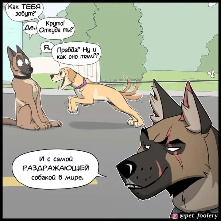 Страница 6