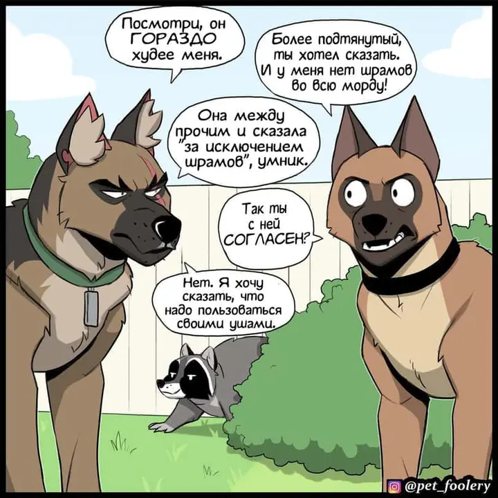 Страница 4
