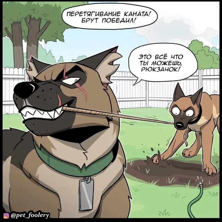 Страница 2