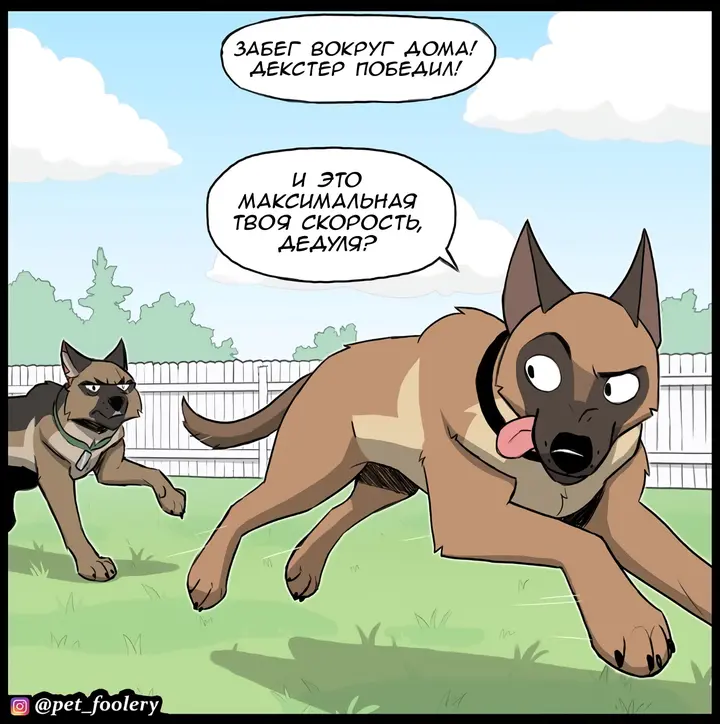 Страница 3