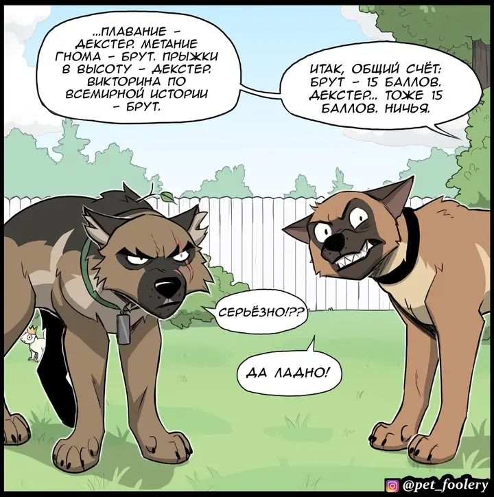 Страница 6