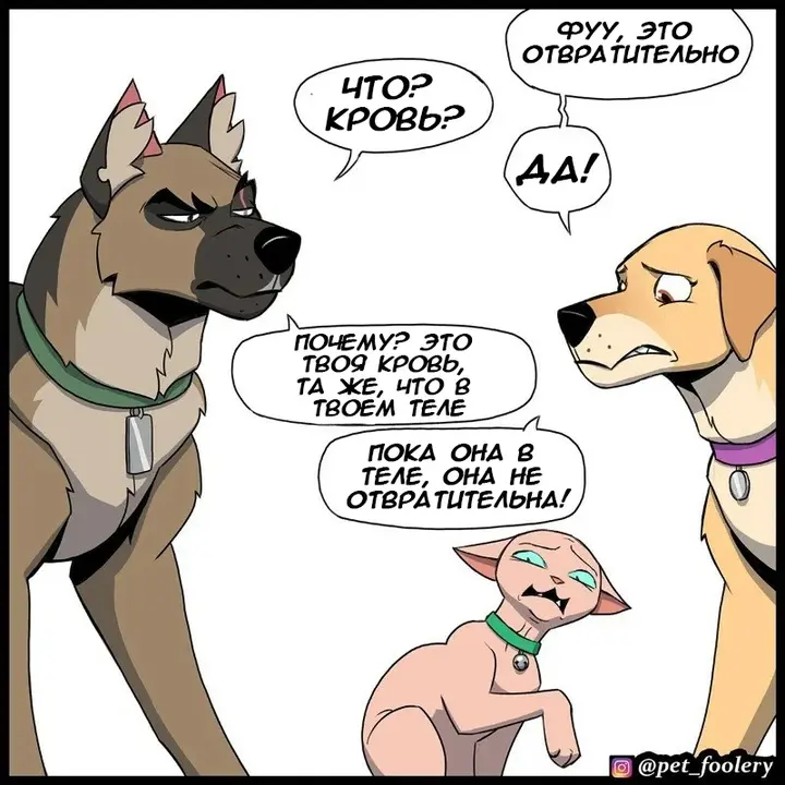 Страница 4