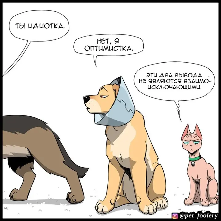 Страница 7