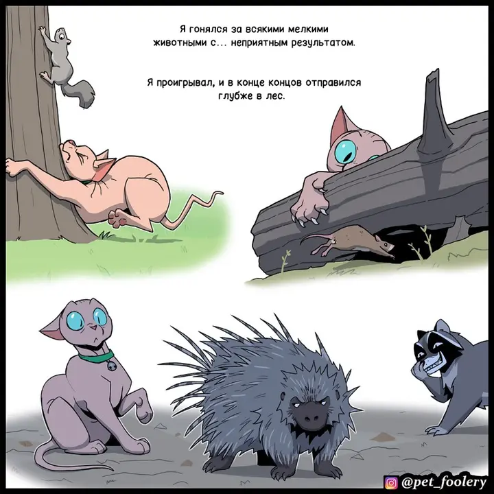 Страница 5