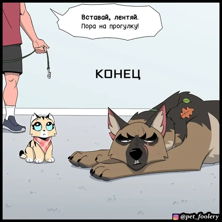 Страница 8