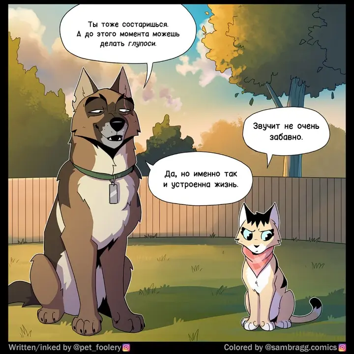 Страница 4