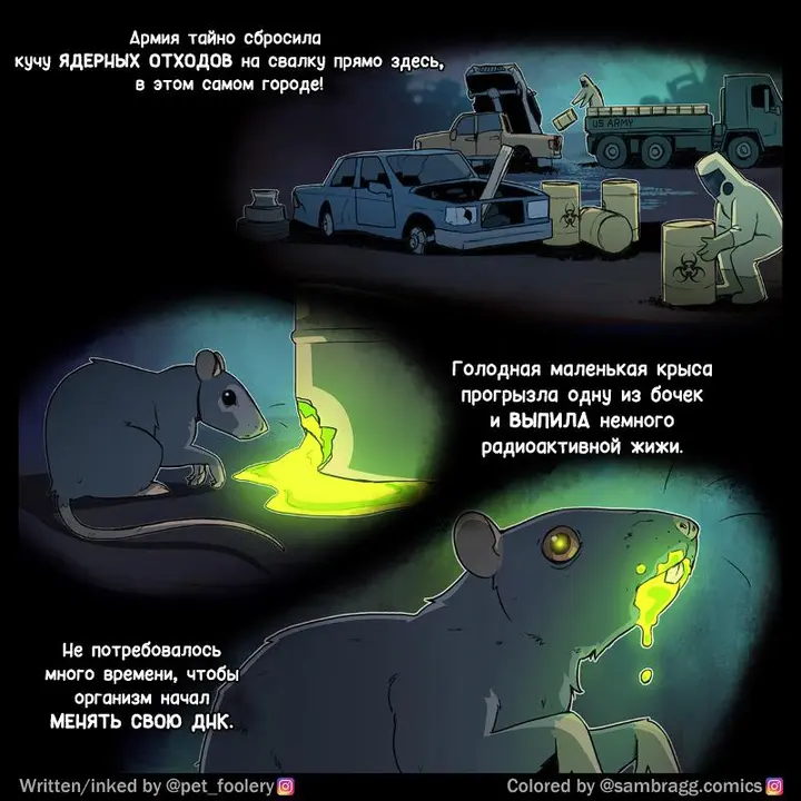 Страница 1