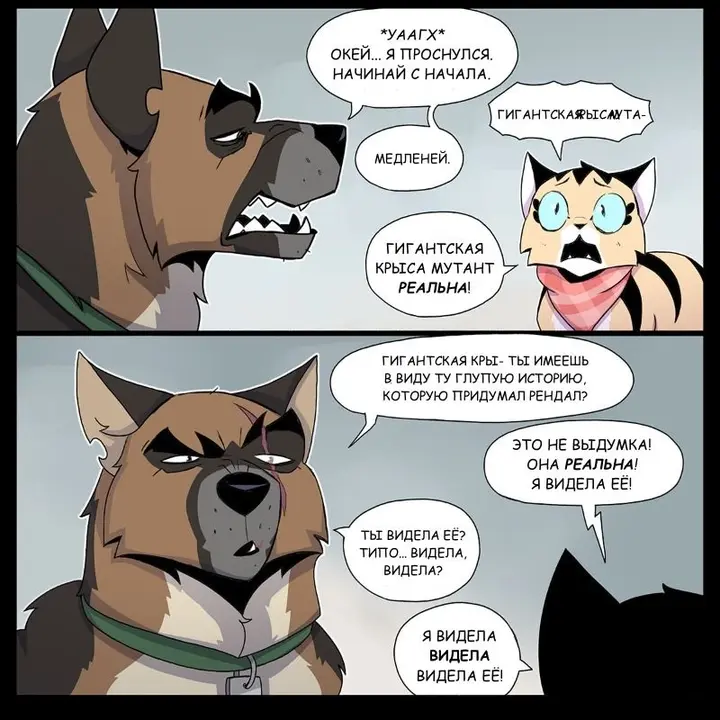 Страница 5