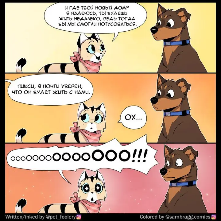 Страница 5