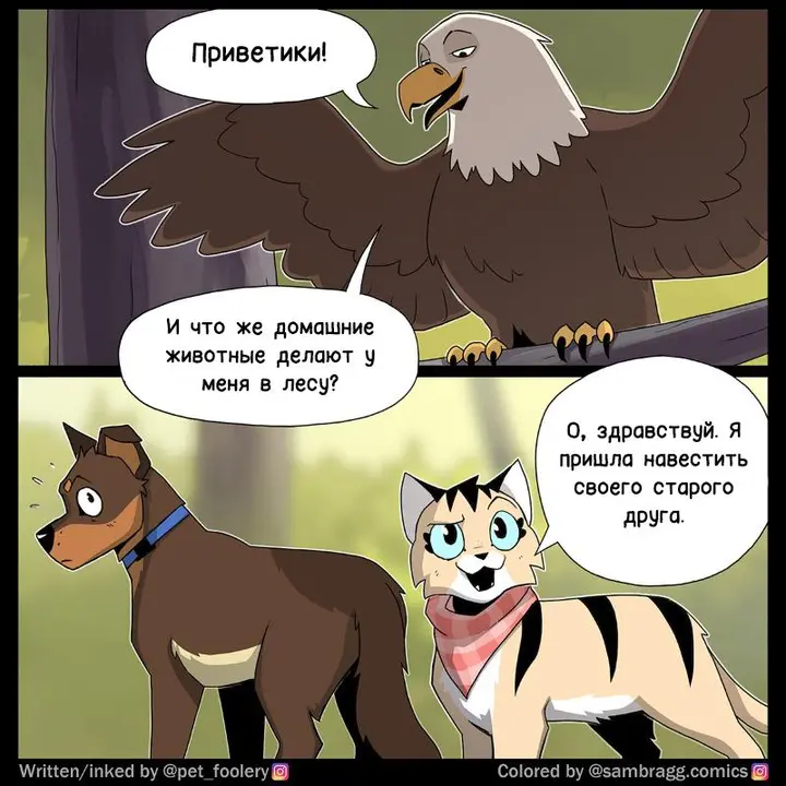 Страница 3