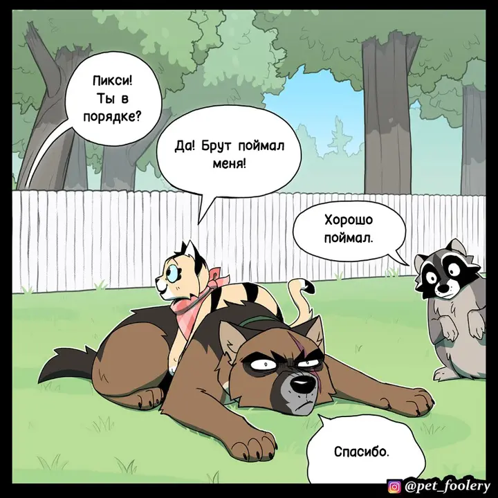Страница 6