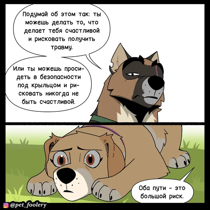 Страница 5
