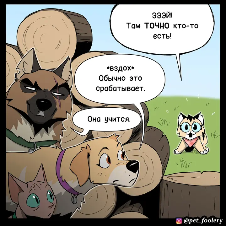 Страница 7