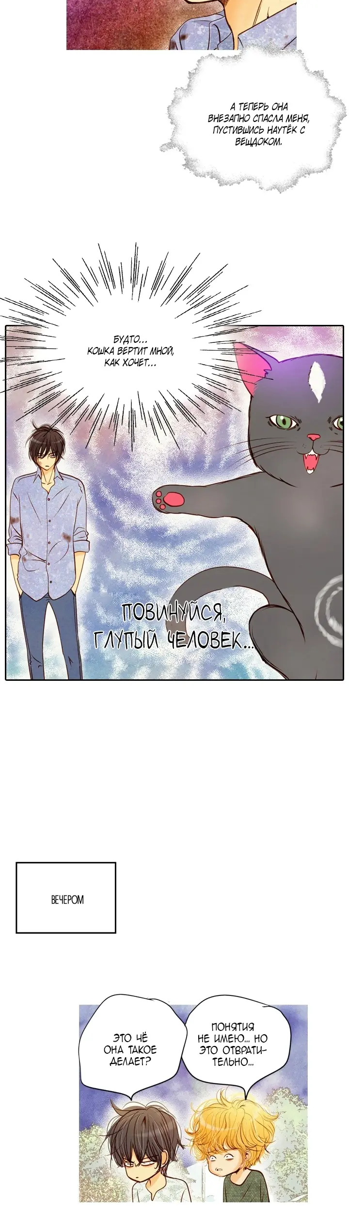 Страница 12
