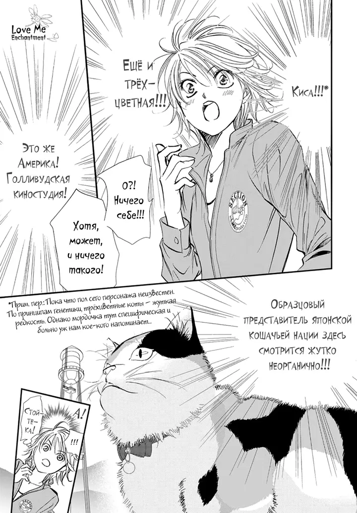 Страница 14