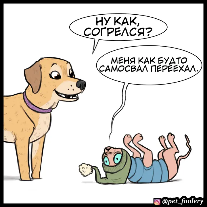 Страница 10