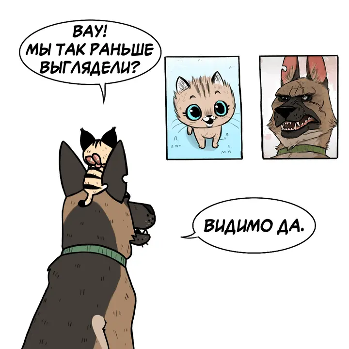 Страница 1