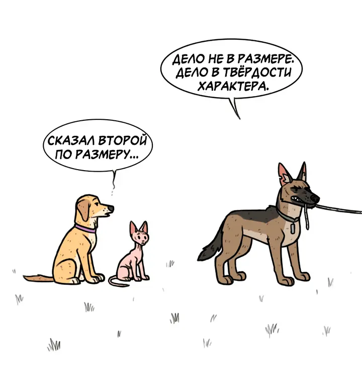 Страница 5
