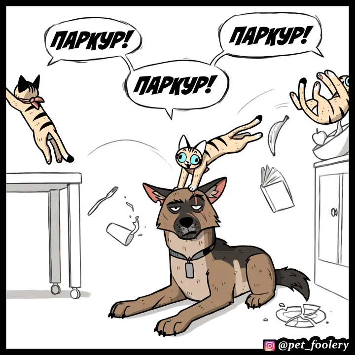 Страница 3
