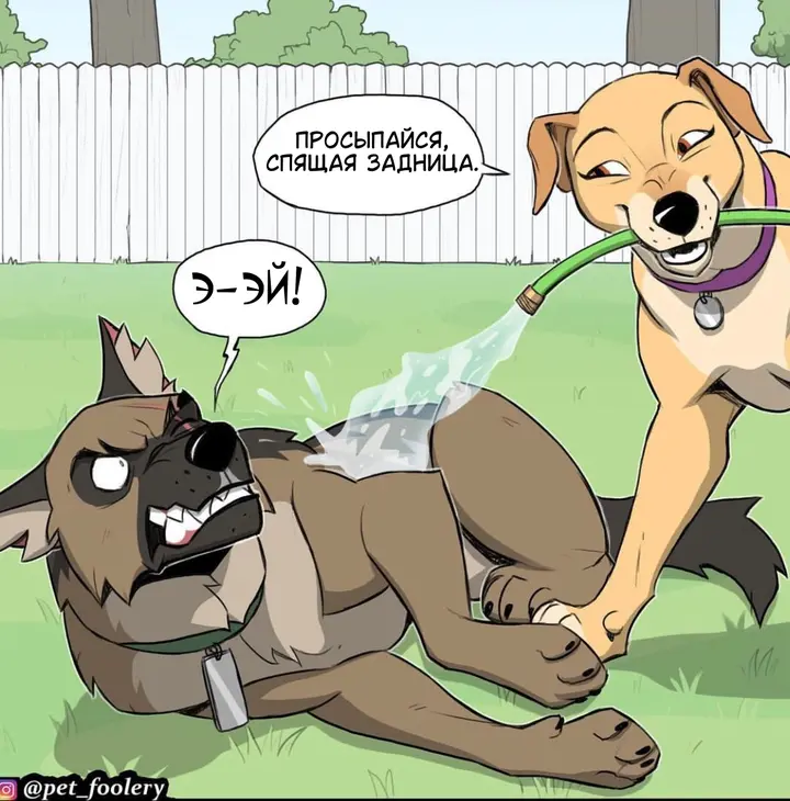 Страница 1
