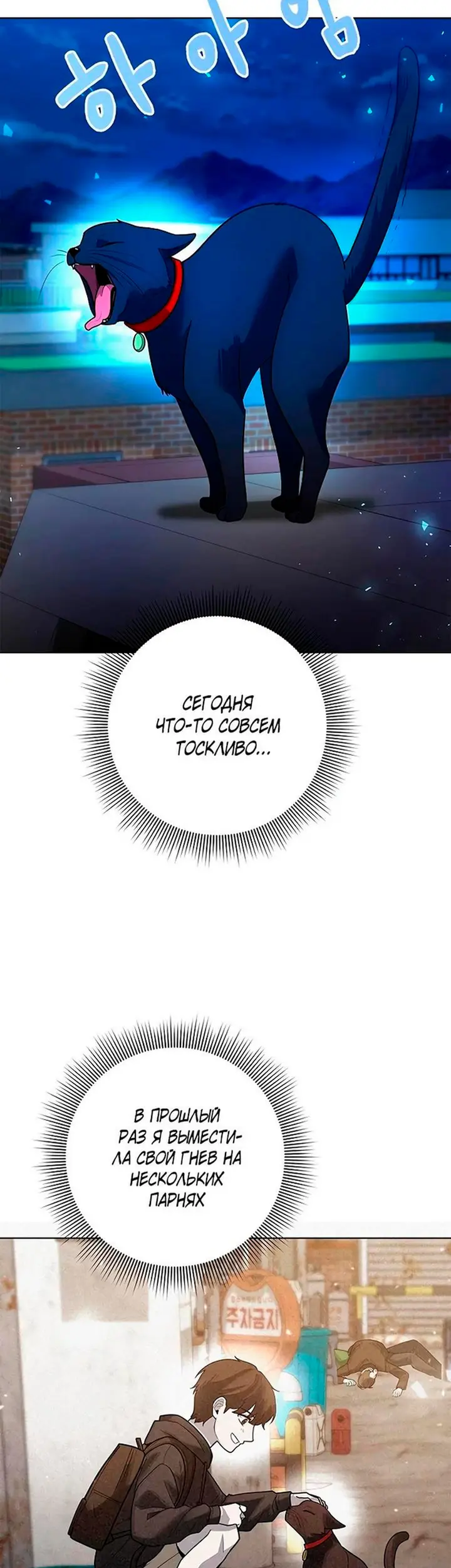 Страница 55